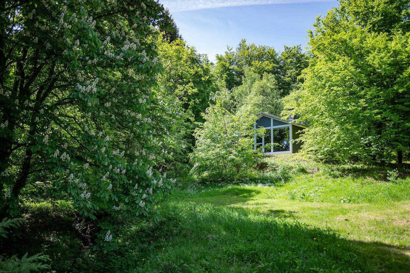4 Personen mit Sauna (F2H6) in Ruhla, Rennsteig