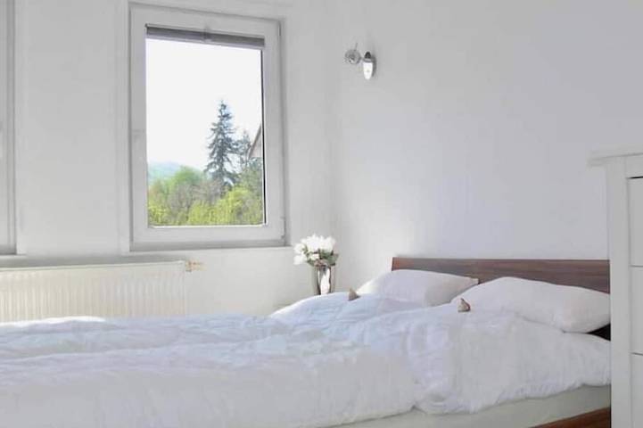 Ganze Wohnung, Sagenhaft. in Bad Harzburg, Harzvorland