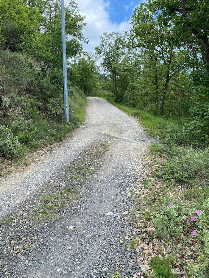 Location de vacances pour 6 personnes, avec vue et terrasse à Rouvenac - 3