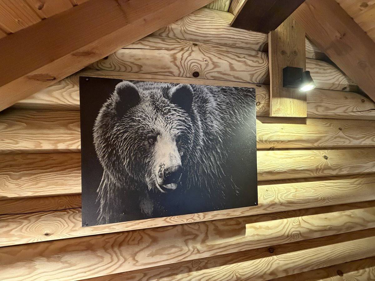 L'Ours Noir Chalet en rondins in La Bresse, Regionaler Naturpark Belchen der Vogesen