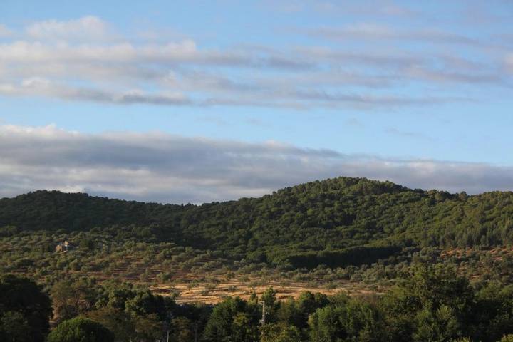 Casa rural para 3 personas, con Balcón y Terraza además de Jardín y Piscina en Cazalla de la Sierra - 3