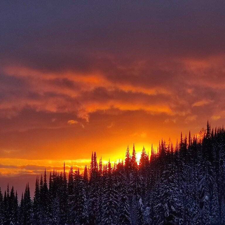 Ganze Wohnung, Stardust - Stag Suite 1 Schlafzimmer / Nische mit benutzerdefinierten Doppelstockbetten in Silver Star