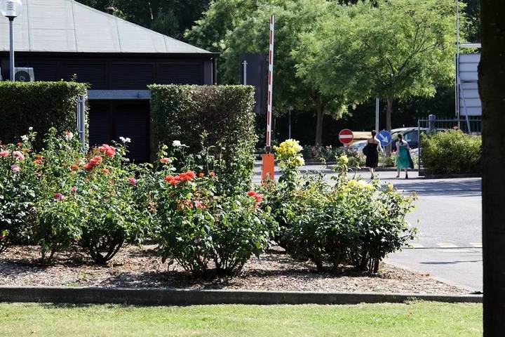 Wohnwagen für 4 Personen, mit Pool in Bologna - 4