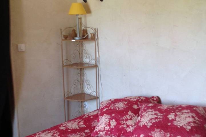 Gîte pour 20 personnes, avec jacuzzi et jardin à Gagnières - 3