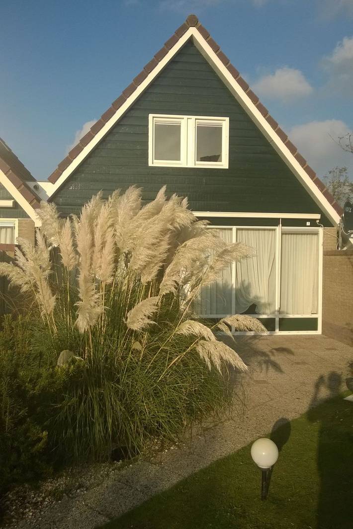 Ferienhaus für 4 Personen, mit Terrasse und Garten in Julianadorp - 4