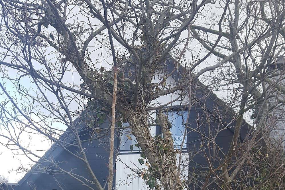 Luxus-Villa an den Dünen in 30 M in Sint Maartenszee in Callantsoog, Noord-Holland - Nordseeküste