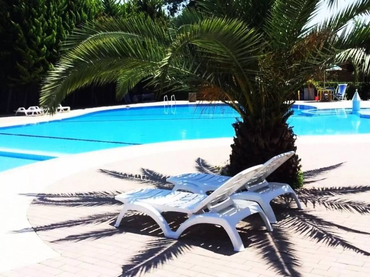 Haus 5 Personen in Viareggio, Italienische Riviera
