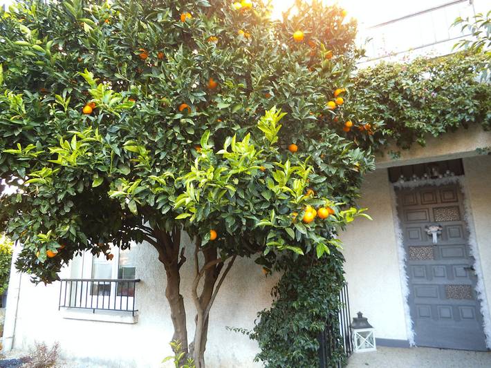 Chambre d’hôte pour 2 personnes, avec jardin dans le Languedoc-Roussillon - 2