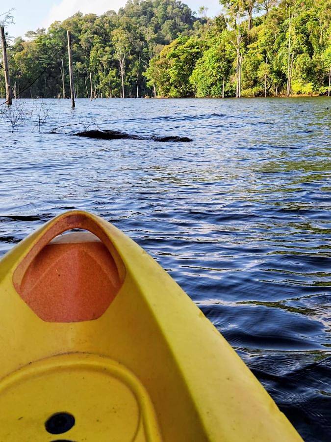Appartement de vacances pour 2 personnes, avec jardin et terrasse, animaux acceptés