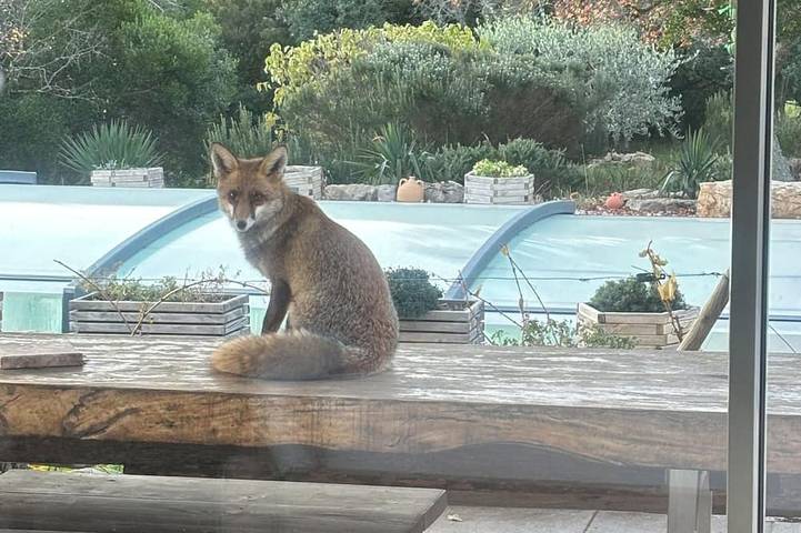 Location de vacances pour 15 personnes, avec piscine à Plan-d'Aups-Sainte-Baume