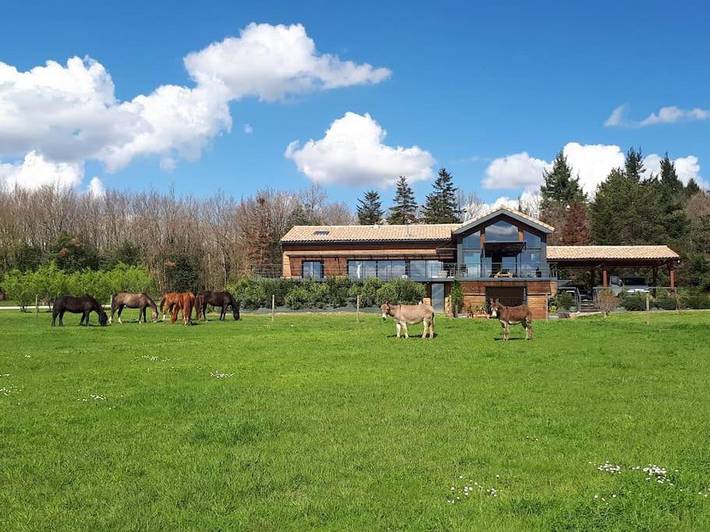 Location de vacances pour 20 personnes, avec jardin ainsi que vue et piscine à Saint-Papoul - 2