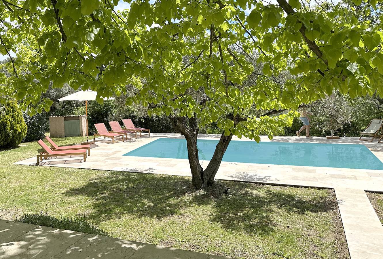 Oliviers de Bargemon in Bargemon, Région de Draguignan