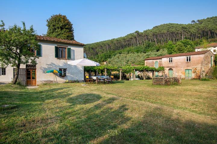 Villa for 8 personer, med hage, dyr tillatt i Toscana