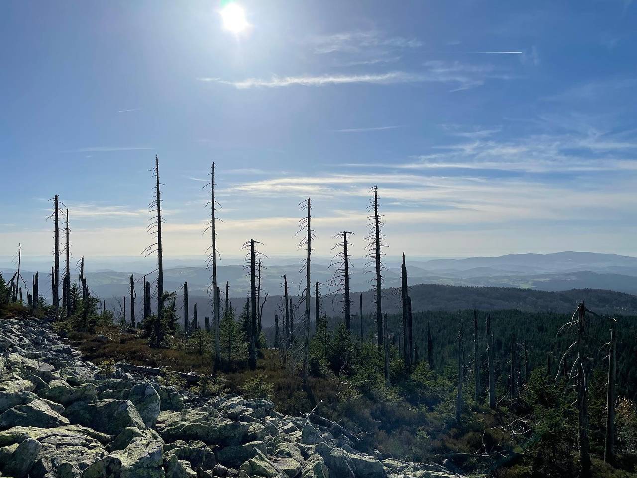 Ferienwohnung Rita am Geyersberg in Freyung, Ostbayern