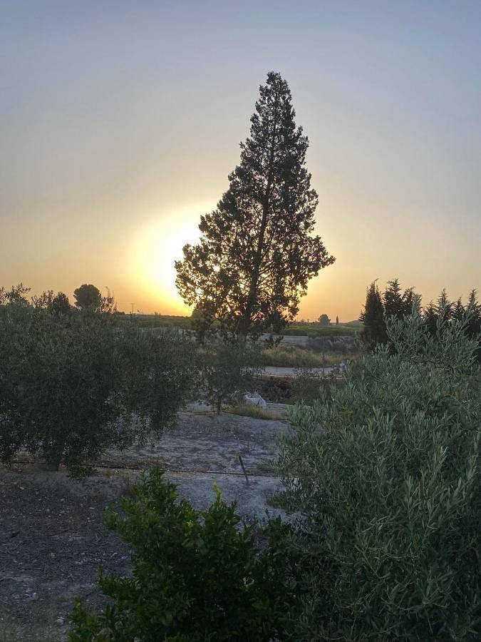 Casa rural para 3 personas, con Terraza además de Piscina y Vistas en Molina de Segura - 4