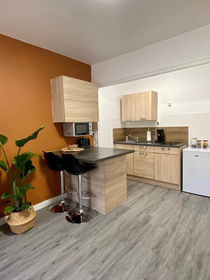 Appartement entier, Studio Confort Centre Ville in Bourg-en-Bresse, Région de Bourg-en-Bresse
