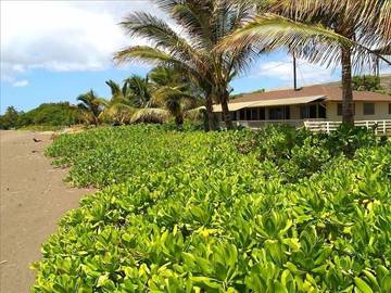 Beach House for 6 People in Waimea (Kauai), Kauai, Photo 3