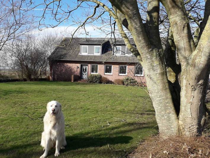 Ferienhaus für 5 Personen, mit Garten in Alkersum