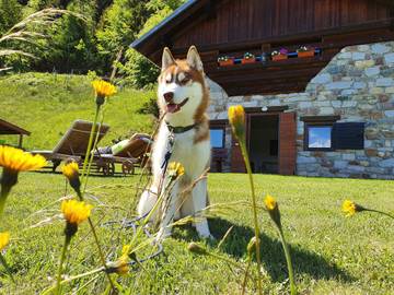 Chalet per 4 Persone in Roncegno Terme, Trentino-Alto Adige, Foto 1