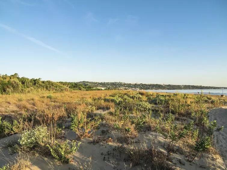 Casa 5 Persone in Marina di Vasto, Provincia di Chieti