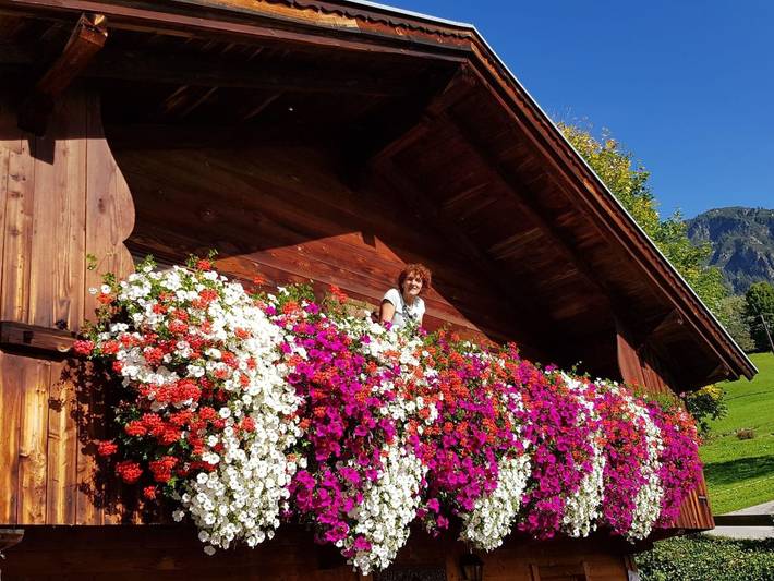 Hütte für 4 Personen, mit Garten und Balkon, kinderfreundlich in Alpbach - 3