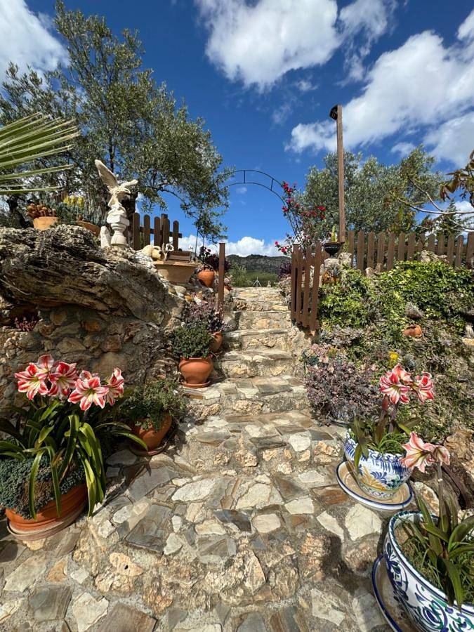 Casa rural para 6 personas, con Terraza y Jardín además de Piscina y Vistas en Yunquera - 2