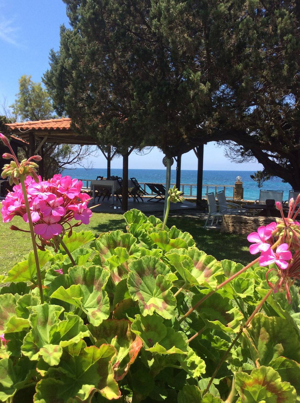 Ganze Wohnung, Genari Beach Apartments – Apartment mit Meerblick für Paare oder kleine Familien in Ileia