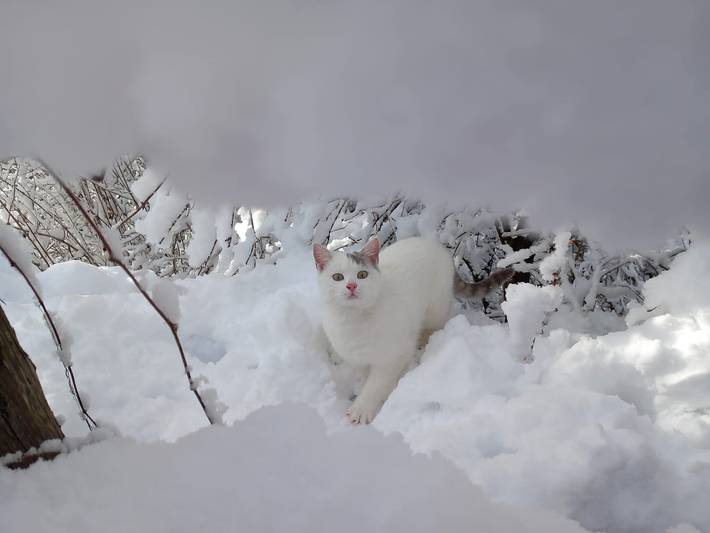 Ferienwohnung für 6 Personen, mit Balkon im Eisacktal - 4