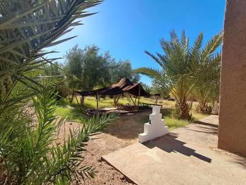 Tente pour 4 personnes, avec vue et jardin, animaux acceptés au Maroc