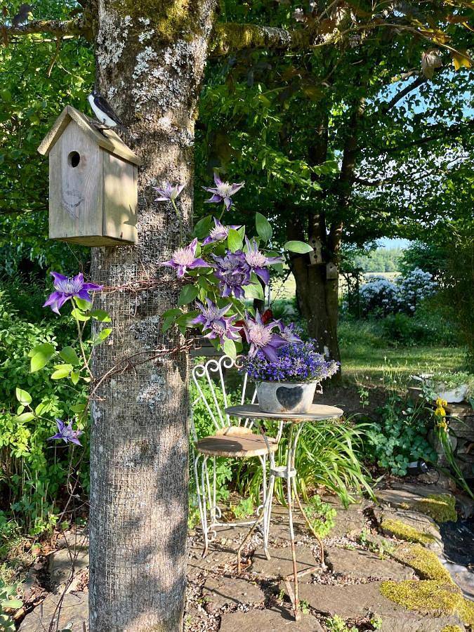 Chambre d’hôte pour 2 personnes, avec vue et jardin à Stavelot - 3