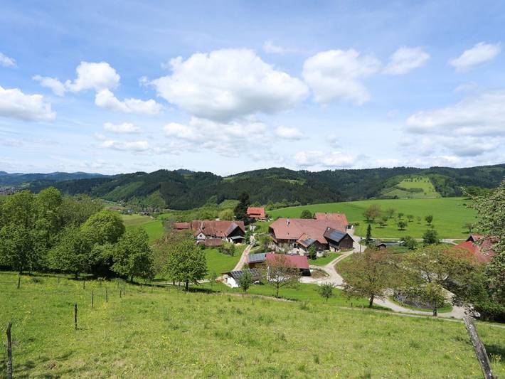 Bauernhof für 8 Personen, mit Sauna und Garten in Mittlerer Schwarzwald - 2