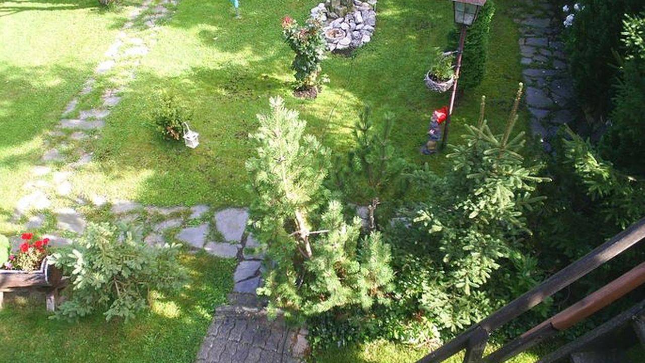 Ganze Ferienwohnung, Ferienwohnung für 4 Personen (70 m²) in Benneckenstein in Benneckenstein, Harzvorland
