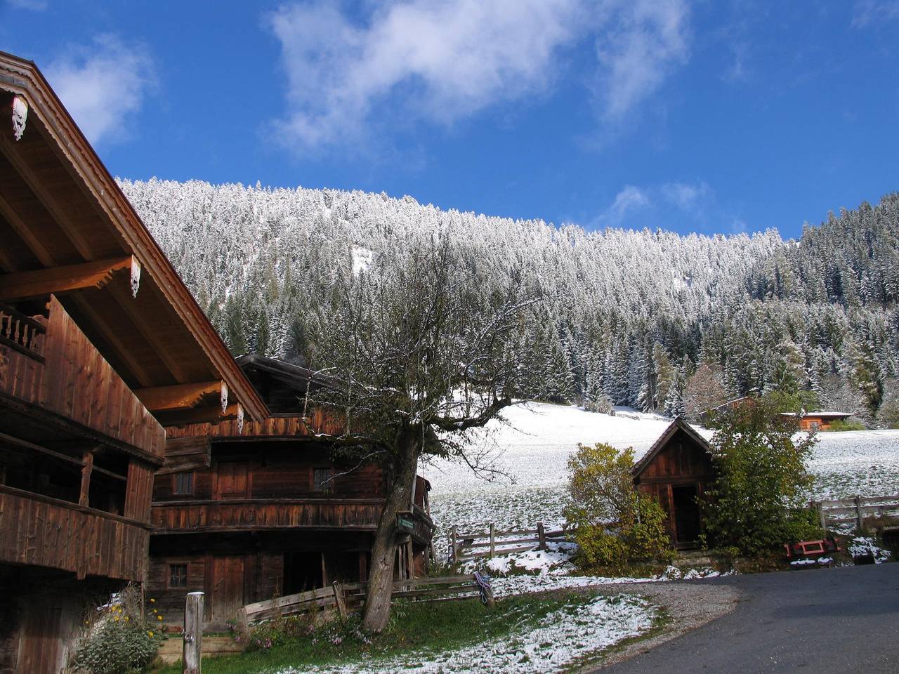 Appartement "Wiedersbergerhorn" in Alpbach, Kaisergebirge