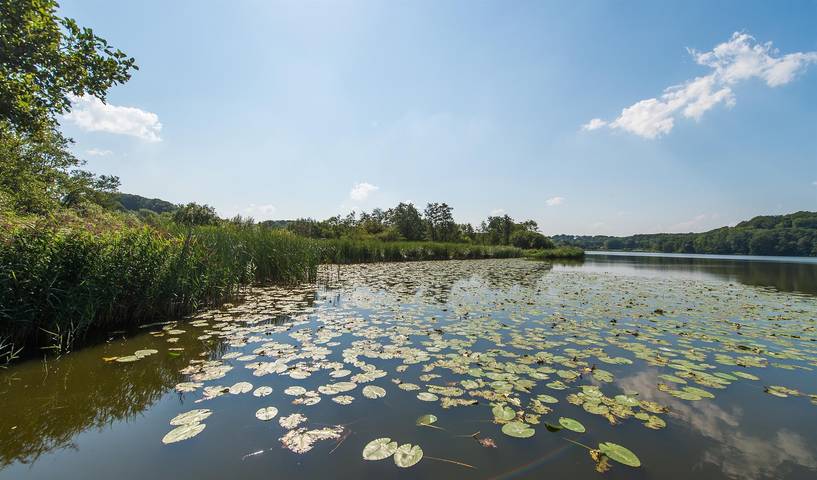 Ferienwohnung für 6 Personen, mit Garten in Harrislee - 2