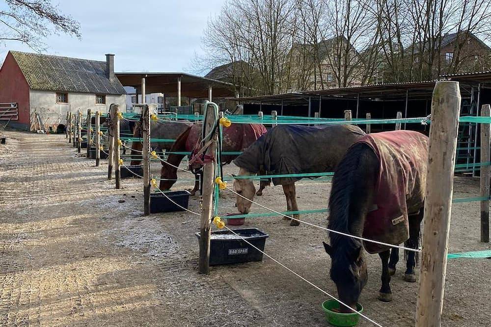 Ganze Wohnung, 2-Bett-Ferienwohnungen Schwalbennest bis 4 Pers. - Ferienwohnungen Brücker Mühle in Dreis-Brück, Vulkaneifel