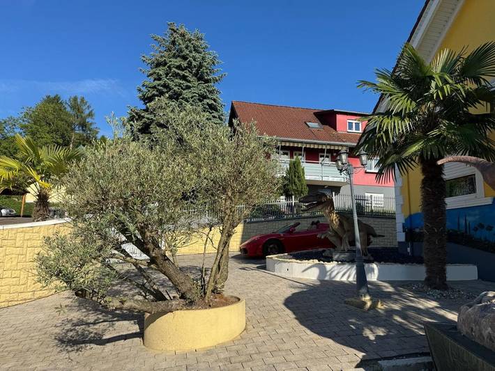 Ferienwohnung für 5 Personen, mit Garten und Ausblick, mit Haustier in Herbolzheim - 3