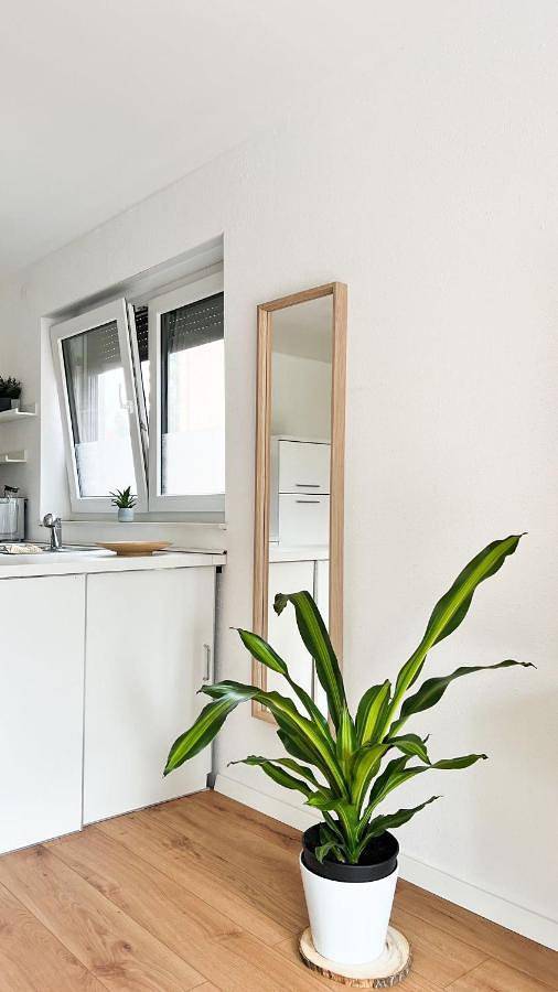 Entire apartment, 2 Zkb Apartment in Mannheim Küche - Parken - Großer Tv in Mannheim, Kurpfalz