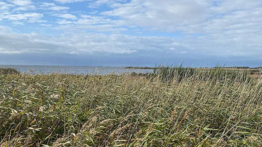 Ferienhaus für 5 Personen, mit Terrasse in Skjern - 2