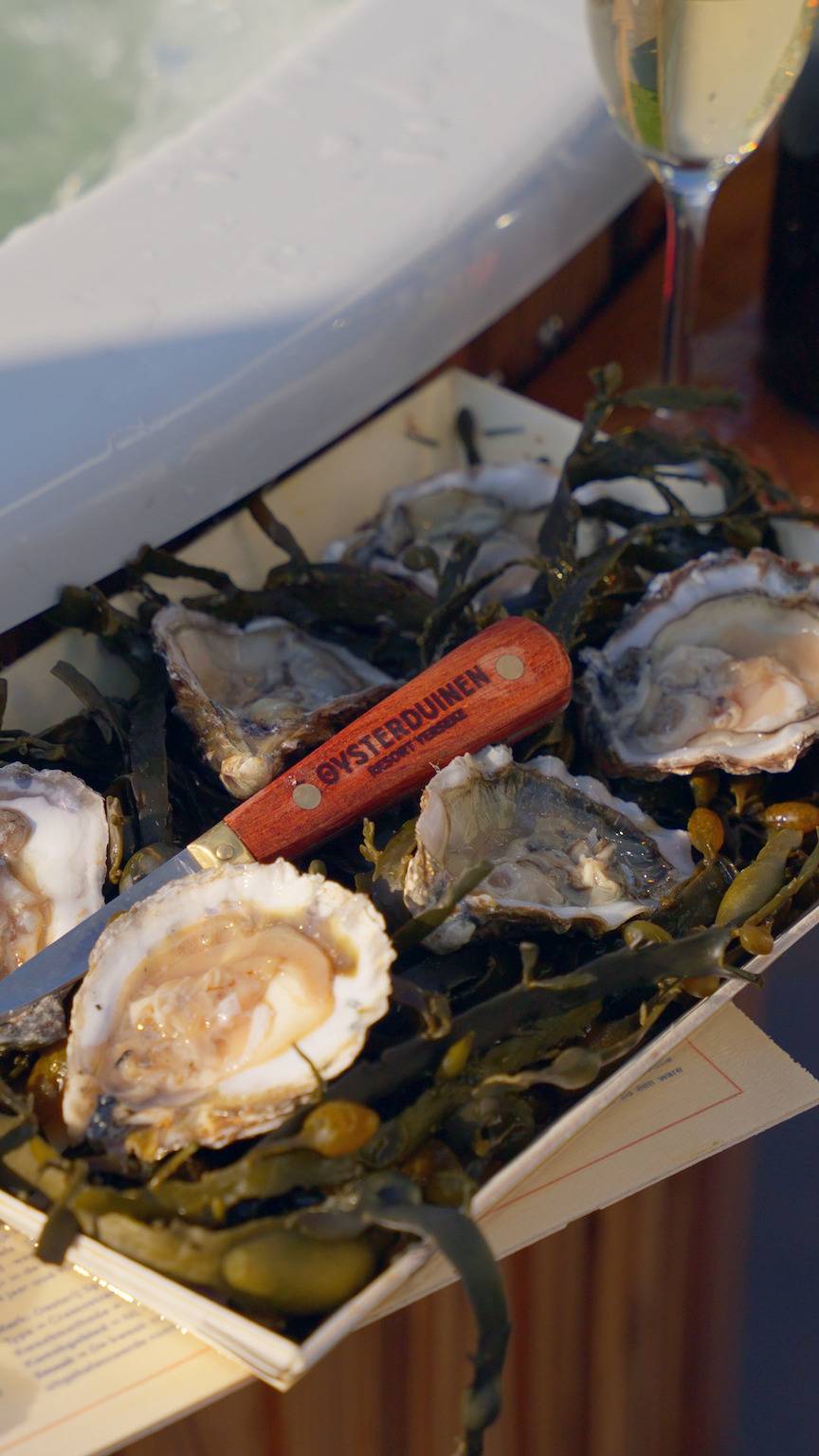 Oysterduinen — Parelzicht | Whirlpool & Sauna | 2 Pers.  in Yerseke, Niederländische Nordsee