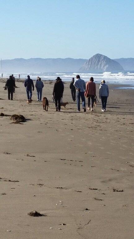 Volle Meerblick! Umgestaltet! 3 min zum Strand, Wifi, Hunde nach Genehmigung willkommen. in Cayucos, San Luis Obispo County