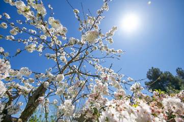 Villa voor 5 Personen in Corfu, Griekenland, Afbeelding 4