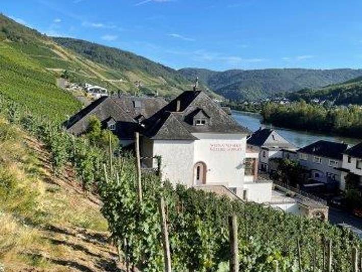 Ferienwohnung für 4 Personen, mit Terrasse in Zell Stadt (Mosel) - 4