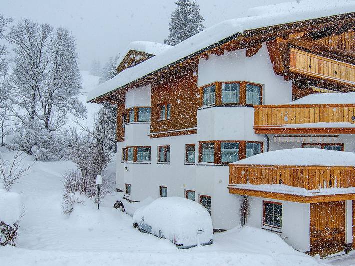 Ferienwohnung für 3 Personen, mit Garten und Ausblick, mit Haustier in Tannheim (Tirol) - 2