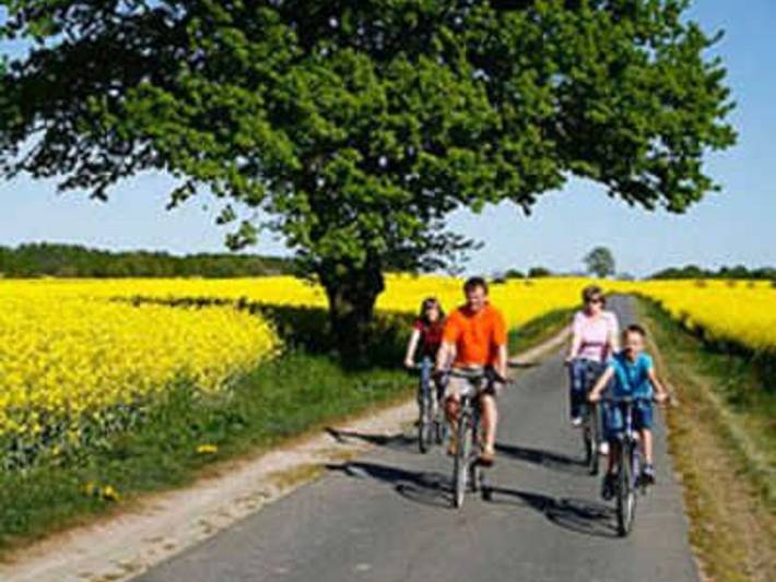 Ferienwohnung für 2 Personen, mit Garten und Terrasse in Neukalen - 3