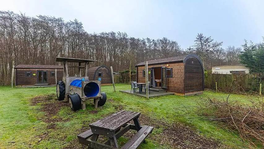 Ferienhaus für 5 Personen, mit Garten, mit Haustier in Burgh-Haamstede - 4