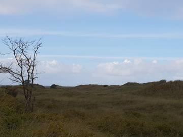 Ferieudlejning til 6 Personer i Bratten, Jerup, Billede 2