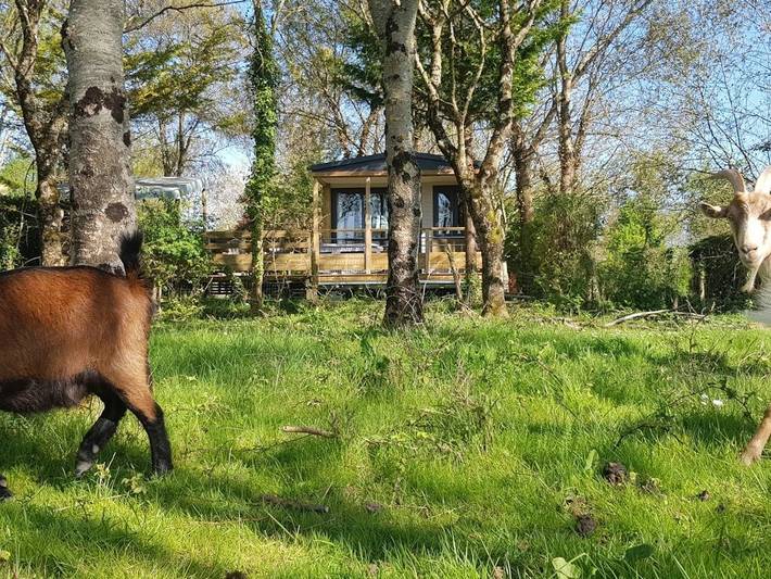 Mobil home pour 4 personnes, avec jardin à Arces