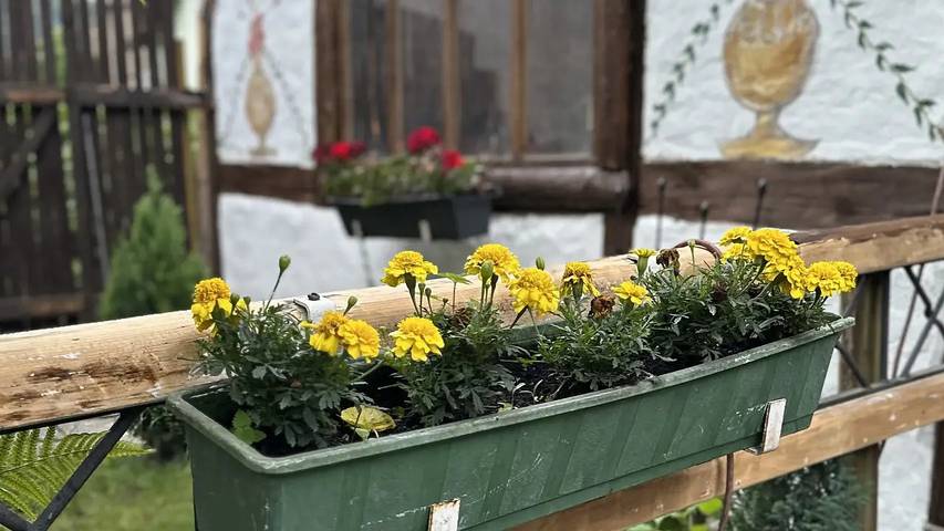 Ferienhaus für 5 Personen, mit Garten, mit Haustier in Schmalkalden - 4