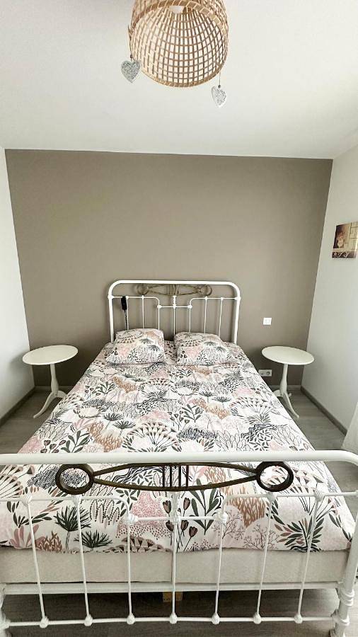 Gîte pour 4 personnes, avec Jacuzzi ainsi que Terrasse et Jardin à Aigrefeuille-sur-Maine - 4