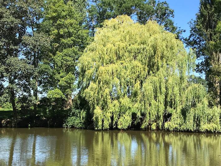 Gîte pour 34 personnes, avec piscine et jardin ainsi que jacuzzi et terrasse